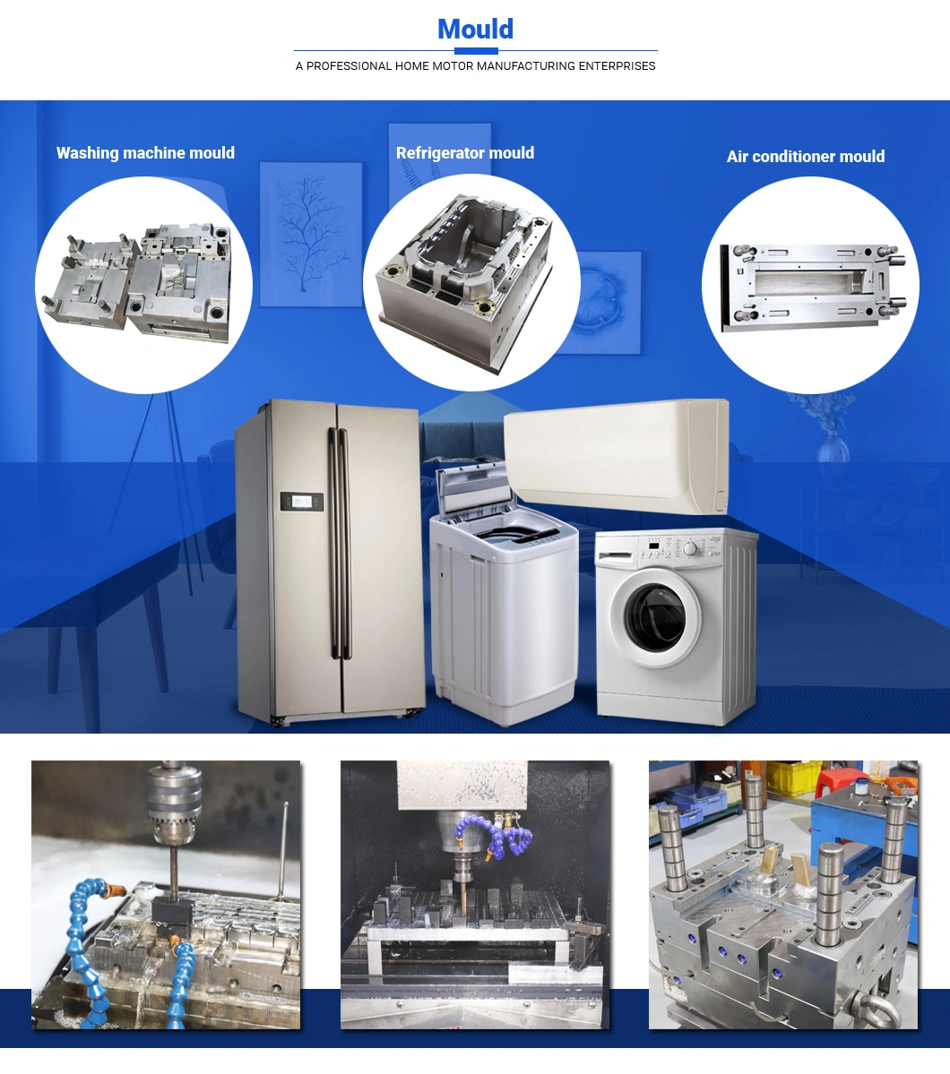 Ruijp New Design Instrument Plastic Mould Blood Collection Tube Plastic Injection Moulds